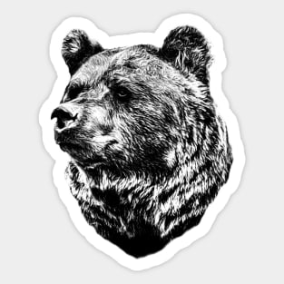 Brown bear Sticker